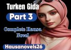 Turken Gida Part 3 Complete Hausa Novel