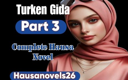 Turken Gida Part 3 Complete Hausa Novel
