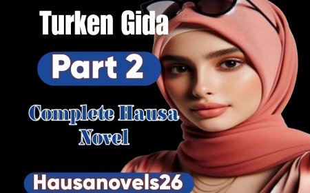 Turken Gida Part 2 Complete Hausa Novel
