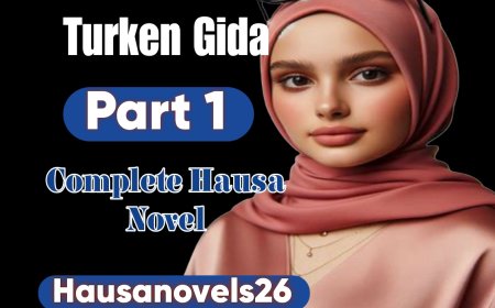 Turken Gida Part 1 Complete Hausa Novel