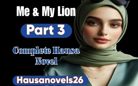 Me & My Lion Part 3 Complete Hausa Novel