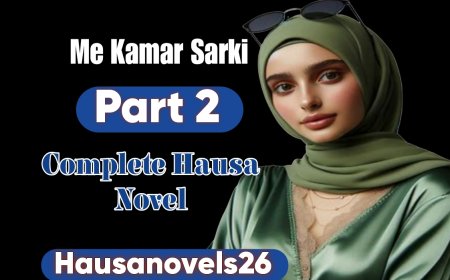 Me Kamar Sarki Book 2 Hausa Novel