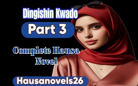 Dingishin Kwado Part 3 Complete Hausa Novel