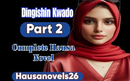 Dingishin Kwado Part 2 Complete Hausa Novel