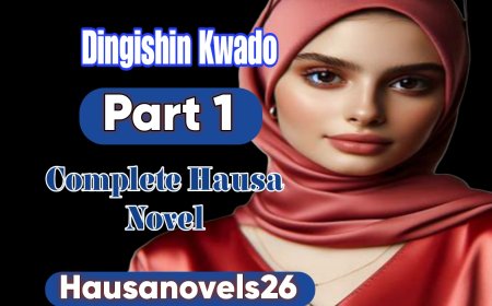 Dingishin Kwado Part 1 Complete Hausa Novel