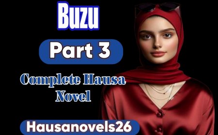 Buzu Part 3 Complete Hausa Novel