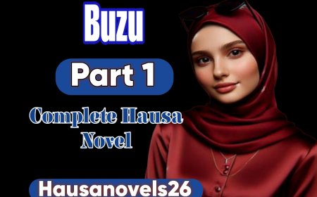 Buzu Part 1 Complete Hausa Novel