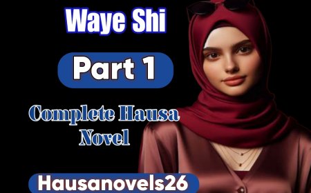 Waye Shi Part 1 Complete Hausa Novel