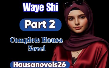 Waye Shi Part 2 Complete Hausa Novel