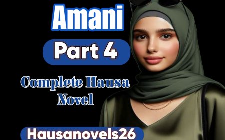Amani Part 4 Complete Hausa Novel