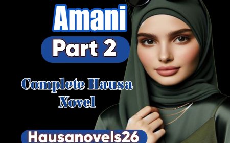 Amani Part 2 Complete Hausa Novel