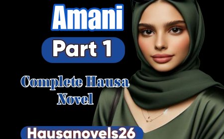 Amani Part 1 Complete Hausa Novel