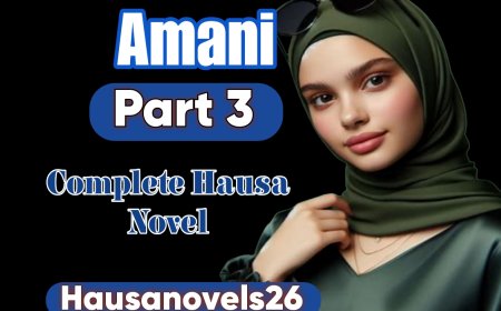 Amani Part 3 Complete Hausa Novel