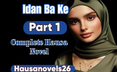 Idan Ba Ke Part 1 Complete Hausa Novel
