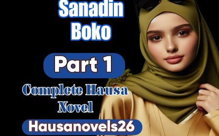 Sanadin Boko Part 1 Complete Hausa Novel