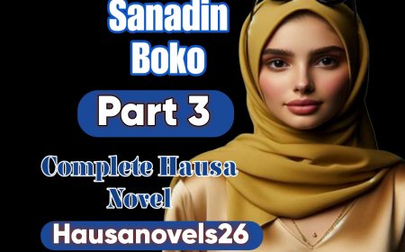 Sanadin Boko Part 3 Complete Hausa Novel