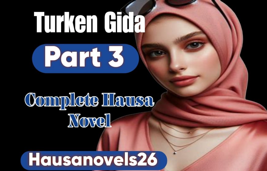 Turken Gida Part 3 Complete Hausa Novel