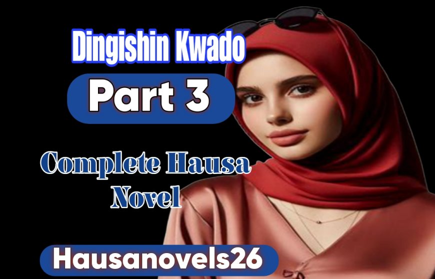 Dingishin Kwado Part 3 Complete Hausa Novel