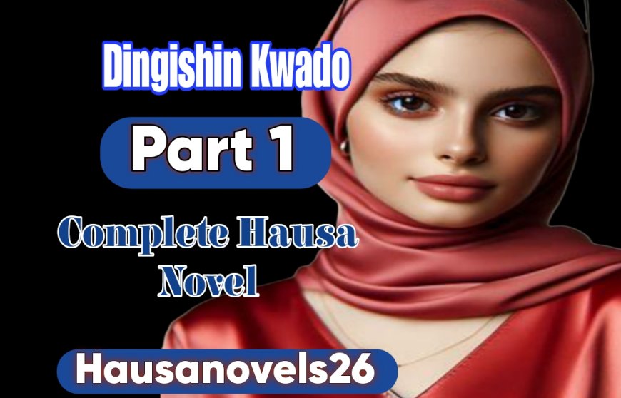 Dingishin Kwado Part 1 Complete Hausa Novel
