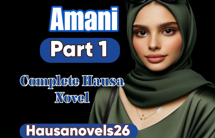 Amani Part 1 Complete Hausa Novel