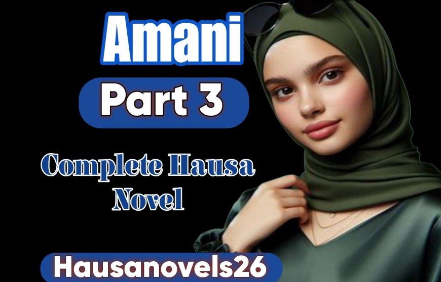 Amani Part 3 Complete Hausa Novel