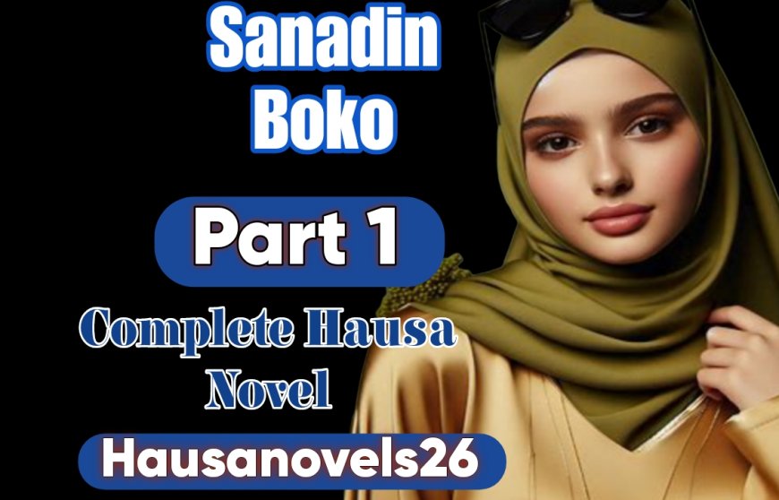 Sanadin Boko Part 1 Complete Hausa Novel