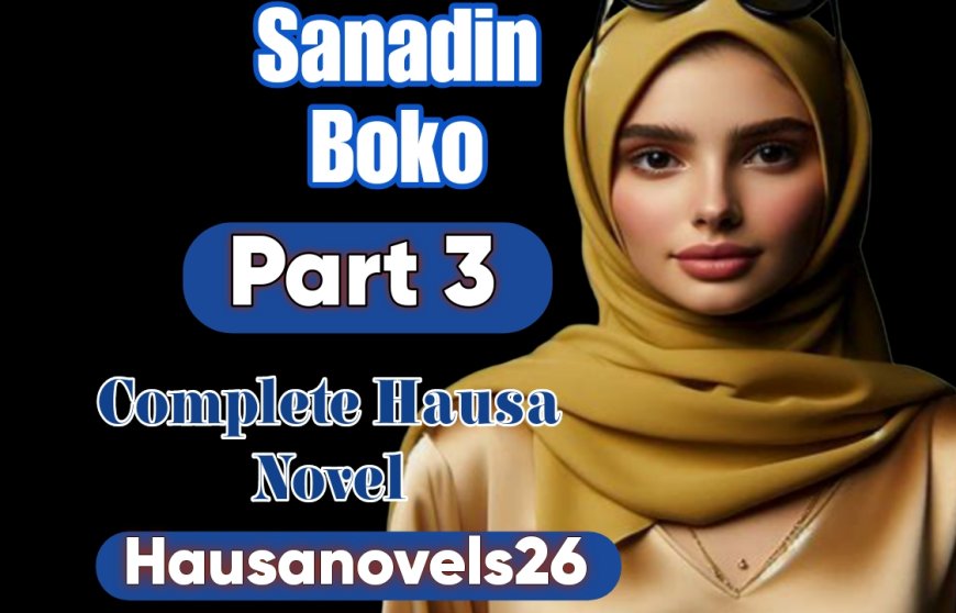 Sanadin Boko Part 3 Complete Hausa Novel