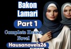 Bakon Lamari Part 1 Complete Hausa Novel