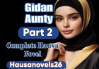 Gidan Aunty Part 2 Complete Hausa Novel