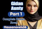 Gidan Aunty Part 1 Complete Hausa Novel