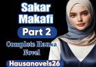 Sakar Makafi Part 2 Complete Hausa Novel