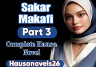 Sakar Makafi Part 3 Complete Hausa Novel