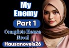 My Energy Part 1 Complete Hausa Novel