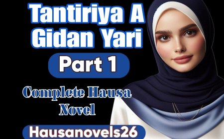 Tantiriya A Gidan Yari Part 1 Complete Hausa Novel