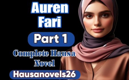 Auren Fari Part 1 Complete Hausa Novel