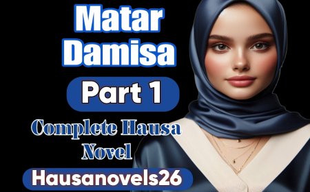 Matar Damisa Part 1 Complete Hausa Novel