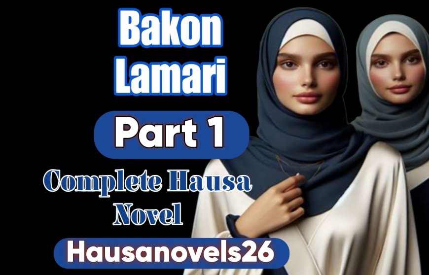 Bakon Lamari Part 1 Complete Hausa Novel