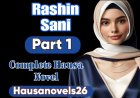 Rashin Sani Part 1 Complete Hausa Novel