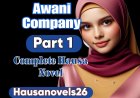 A Wani Company Part 1 Complete Hausa Novel