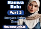 Hauwa Kulu Part 3 Complete Hausa Novel