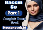 Baccin So Part 1 Complete Hausa Novel