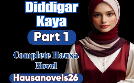 Diddigar Kaya Part 1 Complete Hausa Novel