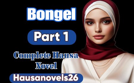 Bongel Part 1 Complete Hausa Novel