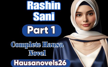 Rashin Sani Part 1 Complete Hausa Novel