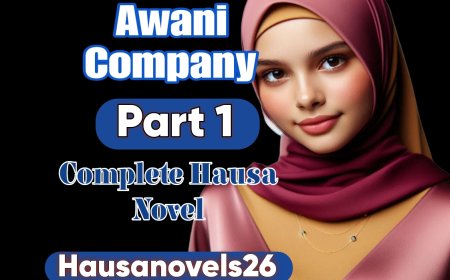 A Wani Company Part 1 Complete Hausa Novel