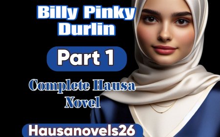 Billy Pinky Durlin Part 1 Complete Hausa Novel