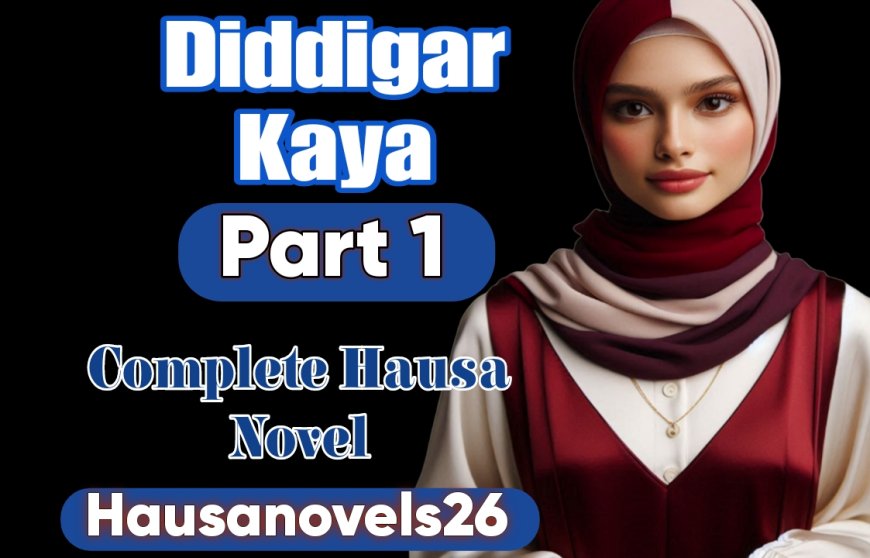 Diddigar Kaya Part 1 Complete Hausa Novel