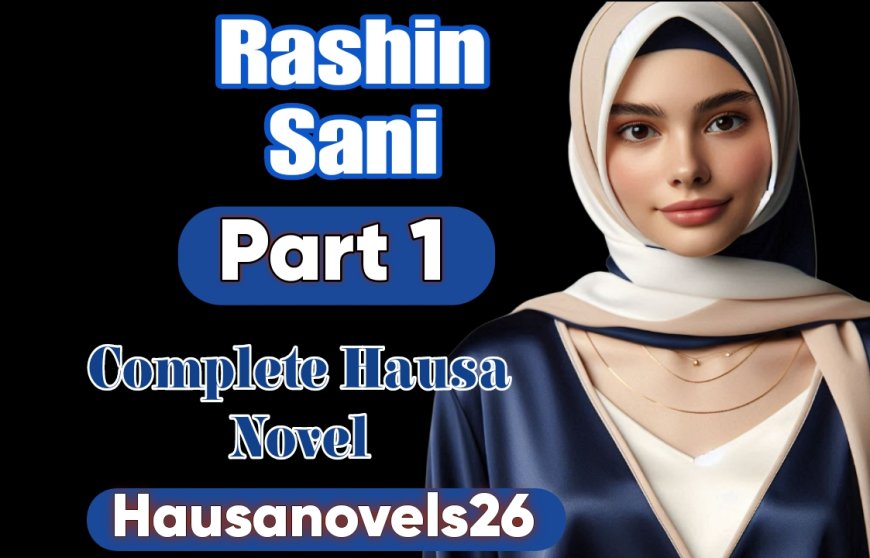 Rashin Sani Part 1 Complete Hausa Novel