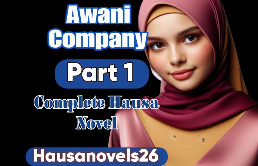 A Wani Company Part 1 Complete Hausa Novel