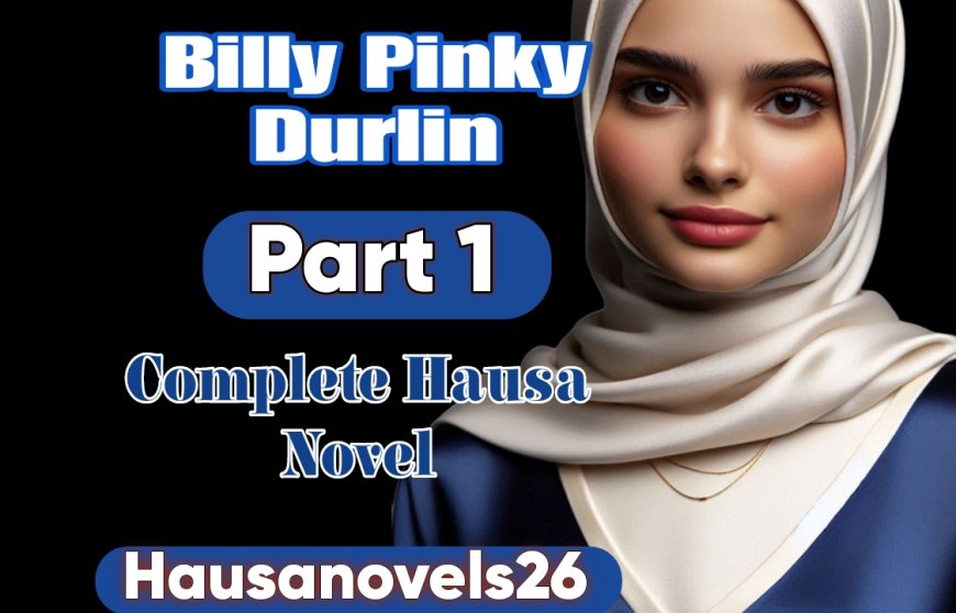 Billy Pinky Durlin Part 1 Complete Hausa Novel